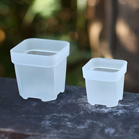 Pot Bunga Plastik Mini Persegi Grosir 2/2.5/3 Inci Desain Minimalis untuk Berkebun di Rumah, Pot Berdiri Indoor/Outdoor