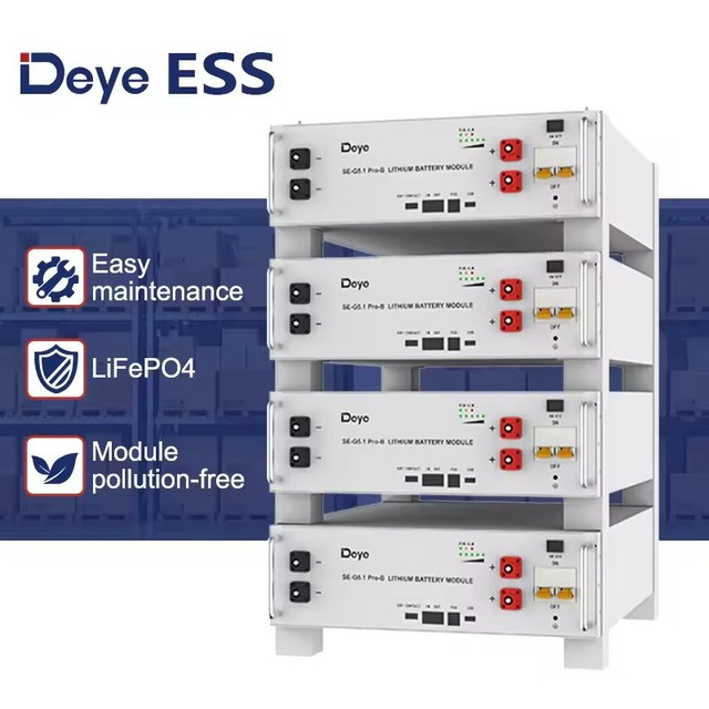 Low MOQ Deye SE-G5.1Pro-B Battery 5KWH 48V100Ah Energy Storage Battery for Home