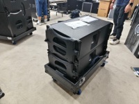 Altavoz Line Array Pasivo Mono Dual de 10 Pulgadas Serie LS3 LA 6+4+2+2 con Potencia de 700W/500W, Carcasa de Madera, Garantía de 3 Años