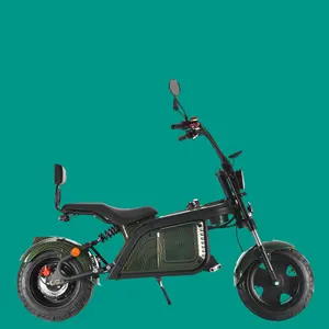CKD pour moto électrique avec 48V20ah moto électrique pour adultes e-bike de chine usine moto de tourisme