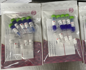 Mezcla Maestra para PCR 2*Taq de Alta Calidad Solarbio (incluye Colorante) - Product Image 2