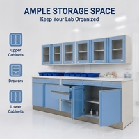 Armoire de traitement hospitalière, armoire à médicaments aseptique pour salle d'élimination, plaque en acier électrolytique, poubelle temporaire pour clinique dentaire