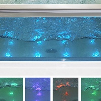 Nouvelle baignoire acrylique autoportante pour animaux de compagnie baignoire de Massage intérieur thermostatique bébé Spa pour surfer avec fenêtre en verre chien piscine Spa