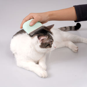 Vente en gros du fabricant Peigne de toilettage pour chat en acier inoxydable vert rose blanc et ABS - Product Image 6