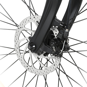 DDP现代迷你成人28英寸超级Samebike带500瓦锂电池250瓦后轮毂电机踏板辅助模式电动自行车 - Product Image 6