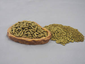 Venta al por mayor de la fábrica personalización nutritivos hogar común tortuga comer torturado comida - Product Image 5