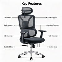Chaise de bureau ergonomique en maille, chaise d'ordinateur, chaise de formation, chaise de designer, mobilier de bureau pour projets commerciaux, vente en gros, directement de l'usine