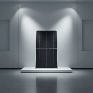 Módulo de <span class=keywords><strong>Doble</strong></span> Vidrio ABC Tipo N de Absorción de Luz de Área Completa sin Líneas de Rejilla 790W 800W 770W - Product Image 1