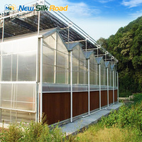 Panneau de toiture en polycarbonate, serre en acier de luxe, tôle en acier PC multi-voûtes, serres agricoles de grande taille pour jardin
