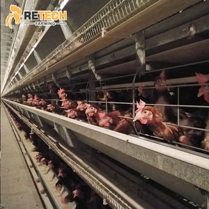 Uganda Egg Chicken Poultry Farm 3 Tiers 4 Tiers H Type Automatic Chicken Layer Cage