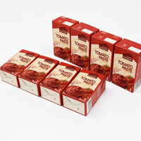 Pâte de tomate aseptique Tetra Brik 135g de pâte de tomate en forme de brique de marque OEM