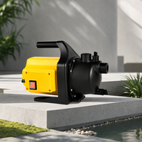 Pompe à jet de jardin personnalisable 1000W à longue durée de vie, débit durable de 3500L/H, auto-amorçante pour maisons familiales et prise d'eau extérieure