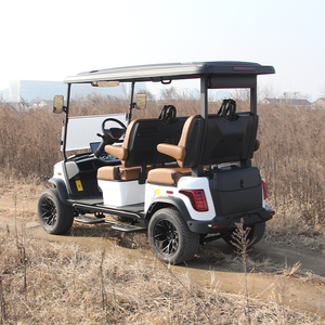 Nuevo Producto: Carro de Golf F14 G4, Buggy de Golf de 4 Plazas - Product Image 2