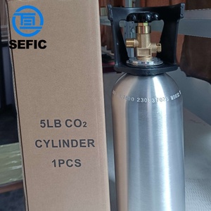 Vanne de bouteille de gaz Co2 standard à points professionnels 5lbs 8.9lbs 15lbs 20lbs Tuv Tped pour le marché nord-américain - Product Image 2