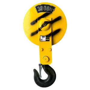 1/2/3/5 tấn 10t cần cẩu điện Palăng đôi bánh xe thấp khoảng không Móc với thiết kế đặc biệt cho hiệu quả tối ưu - Product Image 1