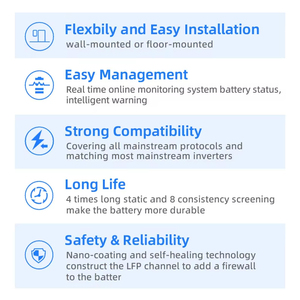 Batería de Litio Solar de Ciclo Profundo de 51.2V 100Ah LiFePO4 para Almacenamiento de Energía en el Hogar, 5.12KWh, Montada en Pared - Product Image 5
