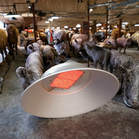 Chauffe-gaz infrarouge en aluminium à économie d'énergie, nouveau modèle champignon, avec garantie d'un an pour élevages de porcelets, de bétail et de volailles
