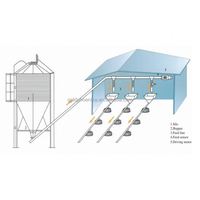 Projet clé en main d'élevage avicole complet QA, système d'alimentation automatique pour volailles, ligne d'alimentation pour poulets