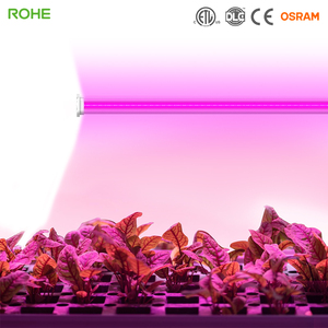 Rohe ไฟปลูกพืช100W 3.2 umol/<span class=keywords><strong>j</strong></span> ประสิทธิภาพสูงหรี่แสงได้ฟูลสเปกตรัมระหว่างพืชอลูมิเนียม640W สีแดงสีขาว - Product Image 3