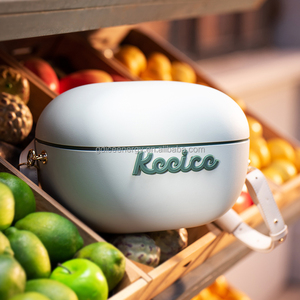 Keeice đa chức năng kích thước nhỏ 6qt PP EPS nhựa <span class=keywords><strong>mini</strong></span> hộp mát cho ngoài trời - Product Image 6