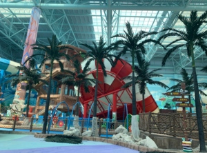 Nhà Máy Tùy Chỉnh Nhân Tạo Hoàng Gia Cây Cọ Lớn Giả Nhiệt đới Sợi Thủy Tinh Palm Cây Dừa Cho Khách Sạn Khu Nghỉ Mát Vườn Trang Trí Nội Thất - Product Image 5