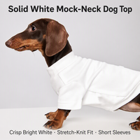 Pull en tricot d'hiver élégant pour Bichon Frise, haut thermique pour chats et petits chiens, vêtement pour animaux de compagnie tendance, favori des influenceurs