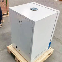 Horno de Secado por Aire Forzado BIOBASE CHINA con Ventana de Observación, 23L~88L, Horno de Secado para Laboratorio