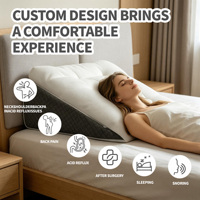Oreiller de lit ergonomique triangulaire multifonctionnel personnalisable OEM/ODM pour lecture et soutien cervical
