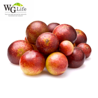 Prix d'usine Extrait de fruit de Camu Camu en poudre 10%-25% Extrait par solvant Qualité alimentaire Vitamine C en emballage en fût
