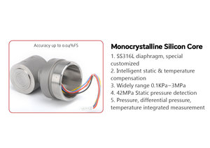 Trasmettitore di Pressione Differenziale Personalizzabile 4-20mA/RS485 <span class=keywords><strong>HART</strong></span> in Acciaio Inox Tipo 3051 con Schermo LCD - Product Image 4