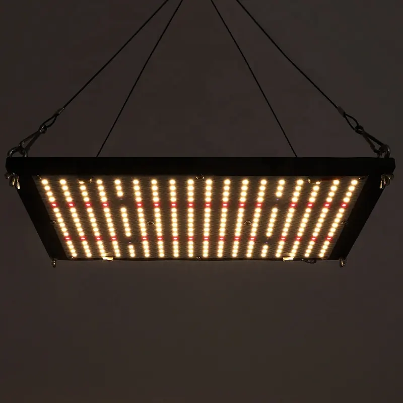 水耕栽培穂軸フルスペクトルLedグローライト240w480w600w720w1000w屋内アルミニウムLuz Led De Crecimiento De 800w Led 800100