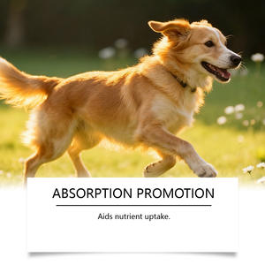 Consegna Rapida, Integratore per Cani per Migliorare la Digestione e il Sistema Immunitario, Gocce Erboristiche per Allergie e Supporto Immunitario - Product Image 5