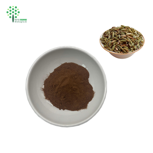 Extracto de semilla de hinojo EXTRACTO DE Foeniculum vulgare natural - Product Image 1