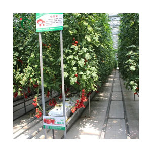 Gespecialiseerde Tomatenzaailingskas Met Mobiele Bank En Kweeklicht Voor Gezonde Sterke Planten - Product Image 4