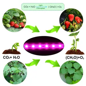 Высокоинтенсивная гидропонная Светодиодная лента полного спектра для выращивания растений 12 В постоянного тока 50 см SMD 5730