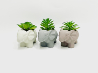 Pot de fleurs en ciment écologique, décoratif, carré, pour balcon, paysage, utilisation au sol, plante succulente, mignon