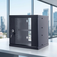 Rack de Servidor de Red para Computadoras Pequeñas 2U 4U, Gabinete de Acero Laminado en Frío SPCC para Centro de Datos IP20, Montaje en Pared