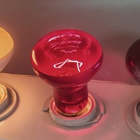 Lampe chauffante infrarouge en verre rouge R63, ampoule moderne pour reptiles, spot de basking E27 25W-100W, lumière chauffante pour tortue, lézard, terrarium
