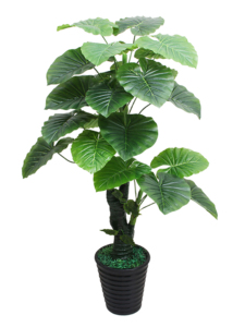 Phong Cách Bắc Âu Chất Lượng Cao Chuyên Nghiệp Nhân Tạo Nhà Máy Giả Nhựa Alocasia Macrorrhiza Bất Cảm Ứng Hoang Dã Taro Cây UV - Product Image 4