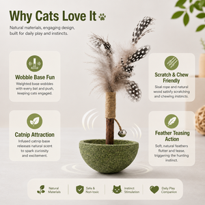 Jouet interactif pour chat avec plumes, bâtonnet naturel à gratter avec clochette, jouet d'intérieur pour chatons curieux - Product Image 2