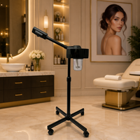 Appareil de soin du visage à vapeur nano-ionique Black Beauty avec certificat CE, prix usine, vente en gros, vapeur chaude