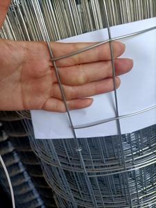 Malla de Alambre Soldada Galvanizada de Diseño Moderno, Panel de 50x50 mm, Material de Malla de Acero con Bajo Contenido de Carbono - Product Image 3