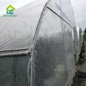 Film de polythène en <span class=keywords><strong>plastique</strong></span> à portée unique de haute qualité <span class=keywords><strong>Tunnel</strong></span> de squelette en acier galvanisé élèvent la serre de tente <span class=keywords><strong>pour</strong></span> les <span class=keywords><strong>semis</strong></span> - Product Image 4