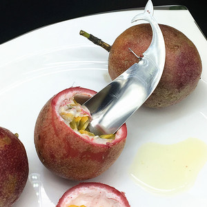 ที่ตัดเสาวรสรูปปลาวาฬทำจากสแตนเลส ช้อนตัดผลไม้ สำหรับเปิดเสาวรส - Product Image 1