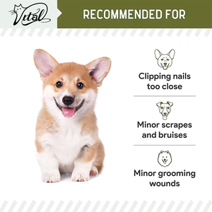 ผง <span class=keywords><strong>styptic</strong></span> 1.5ออนซ์สำหรับสุนัขและแมวครีมลดเลือดออกได้อย่างรวดเร็วเล็บมีรอยตัดเล็กสูตรการแข็งตัวของเลือดสำหรับการดูแลสัตว์เลี้ยง - Product Image 3