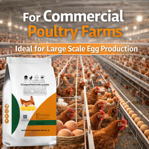 Additif Alimentaire Prémélangé Best-Seller <span class=keywords><strong>pour</strong></span> Poules Pondeuses – Améliore la Production d'Œufs – Nutrition Avicole – Vente Directe Usine - Product Image 2