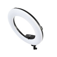 Anneau lumineux LED de 18 pouces avec support pour téléphone, conçu pour l'éclairage de maquillage en direct en 2025