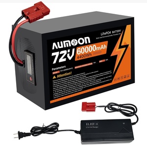 48V 60V 72V 20AH 60Ah LiFePO4 E-Bike-Akku, Sicherer LiFePO4-Akku mit Anderson-Stecker für 0-3500W Motoren, E-Bikes, E-Motorräder - Product Image 1