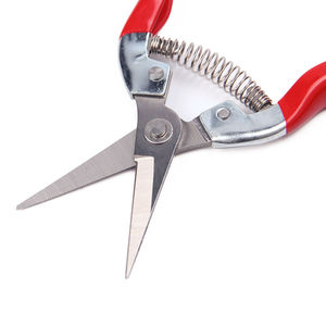 OEM vườn pruner số lượng lớn bán buôn thực vật cắt kéo cho chi nhánh cắt tỉa cây ăn quả cắt tỉa và công cụ làm vườn - Product Image 3