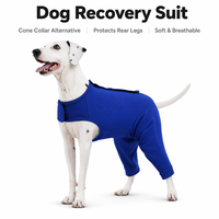 Combinaison de récupération post-chirurgicale pour chien, anti-léchage, pour protection des plaies abdominales après stérilisation, respirante, douce et lavable